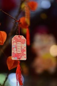mẹo thắng Nohu